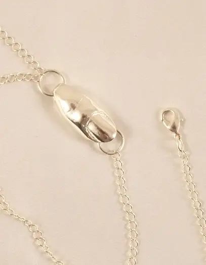 Silver Leash