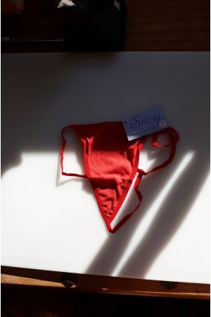 Susy Q Solid Red G String Panties