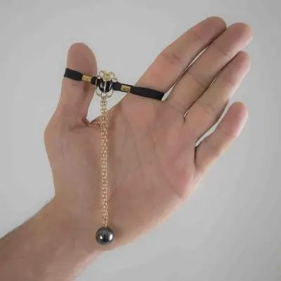 The Gold Bug - 24 Carat Gold Scarab Penis Chain Penis Jewelry