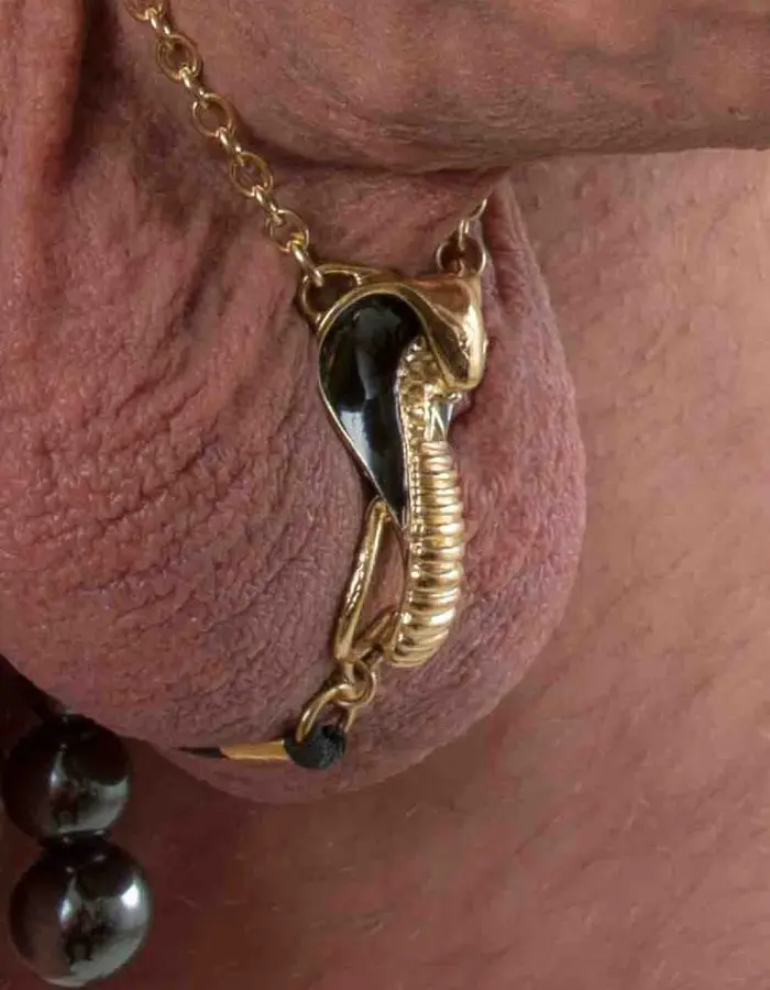 Thutmose - Gold Cobra Penis Jewelry