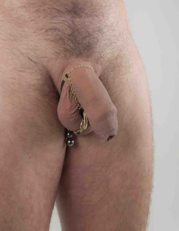 Thutmose - Gold Cobra Penis Jewelry