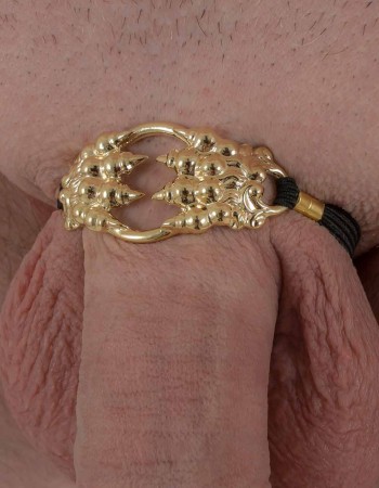 Under the Bridge - Goldklaue-Peniskettenarmband