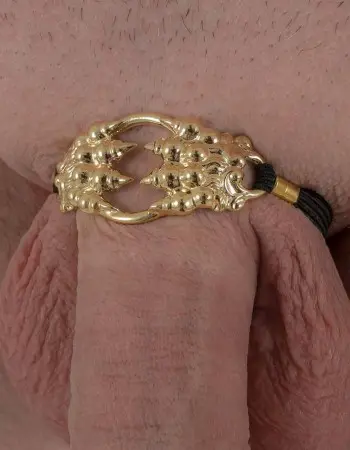 Under the Bridge - Gold Claw Penis Chain Bracelet