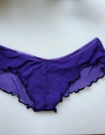 Up To Me - Sexy Sheer Booty Shorts Panties