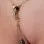 Uraeus - Gold Vagina Jewelry with Cobra Charm