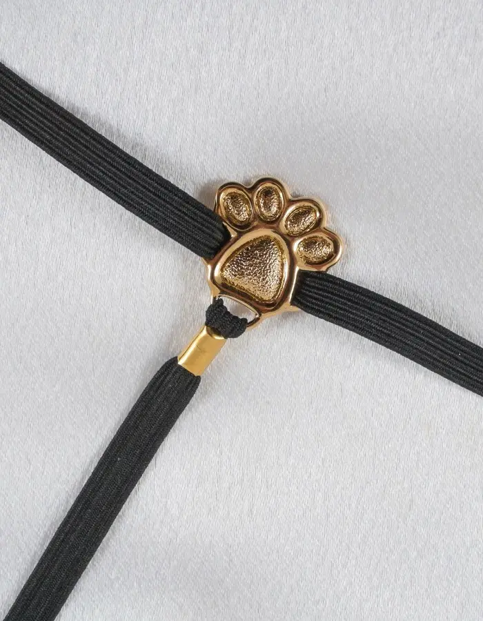Venetian Cat Mask G-String in 24 Carat Gold