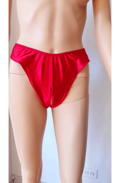 Why Not? - Satin Crotchless Backless Panty