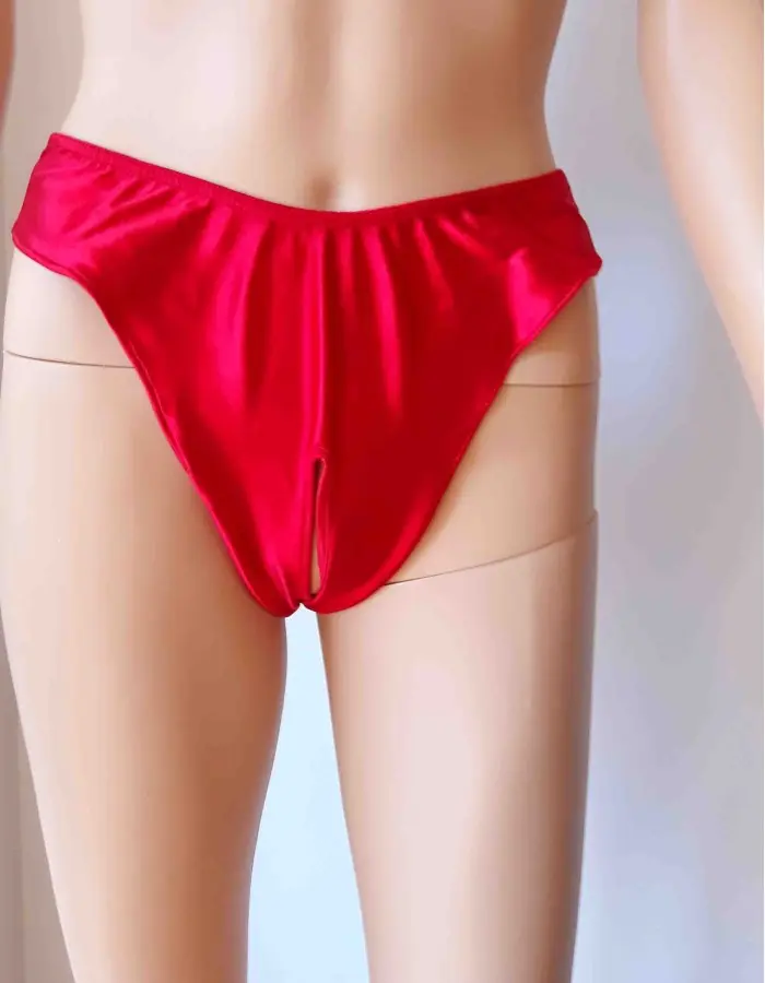 Why Not? - Satin Crotchless Backless Panty