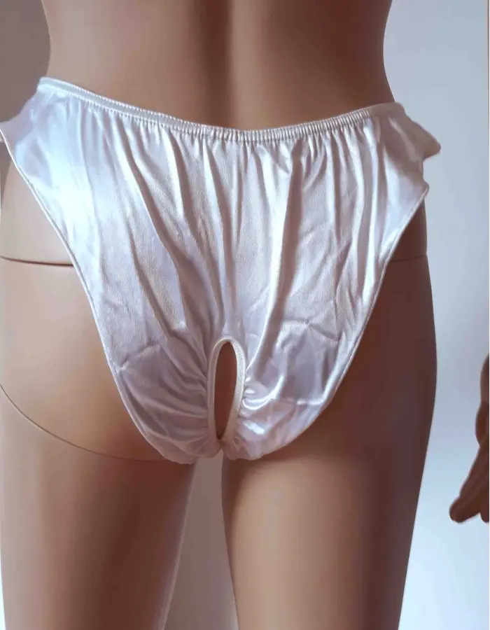 Why Not? - Satin Crotchless Backless Panty