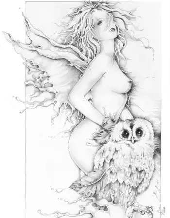 Wings of Night Lithograph 50x70 cm