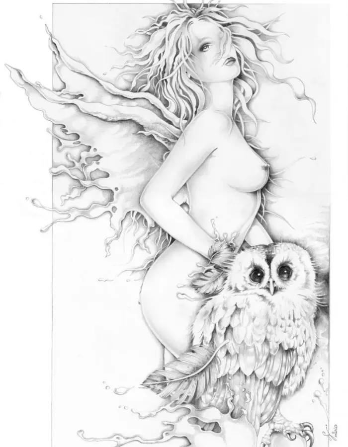 Wings of Night Lithograph 50x70 cm
