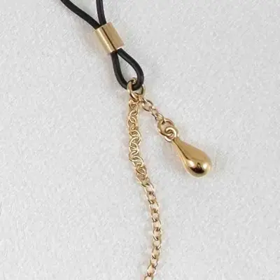 You Belong to Me - Penis Necklace with Nipple Rings