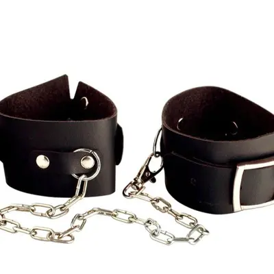 Fetish Fantasy Series Beginner's Cuffs
