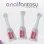 Anal Fantasy Collection Anal Moist Personal  Lubricant Applicators