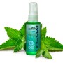 Oral Ectasy Mint Flavored Deep Throat  Numbering Spray 2 Oz