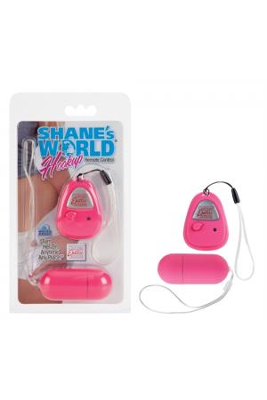 Shanes World Hook Up Remote Control - Pink