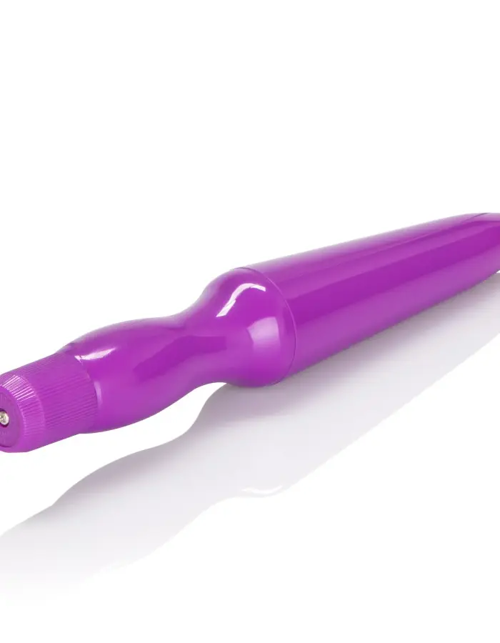 Fujikos Waterproof Anal Probe - Purple