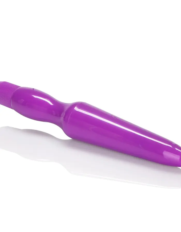 Fujikos Waterproof Anal Probe - Purple