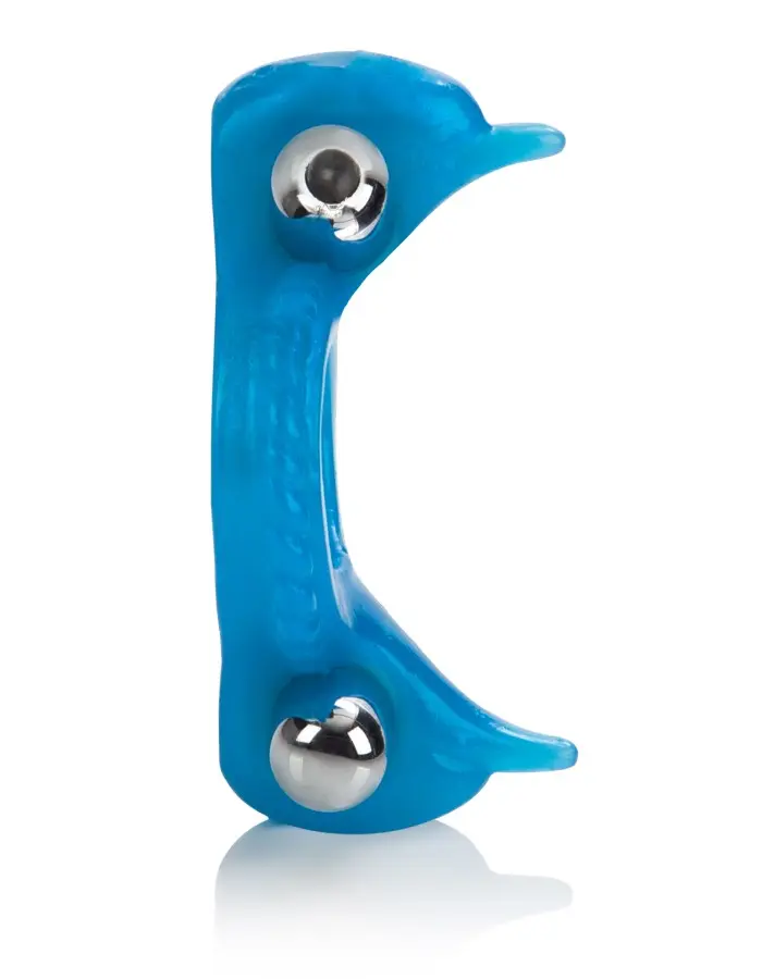 Double Dolphin