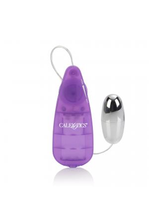 Her Kegel Kit