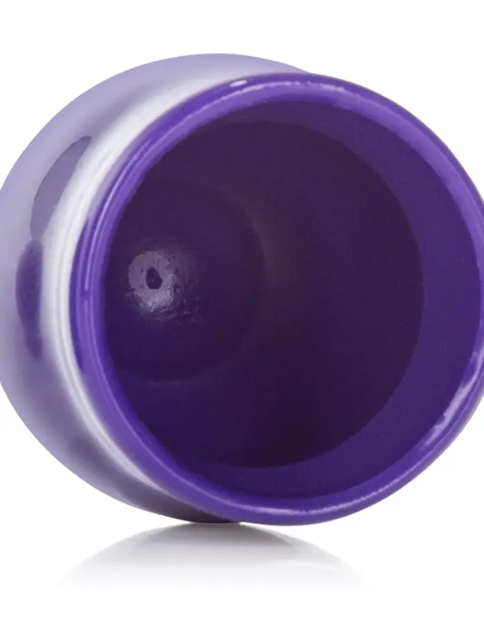 Nipple Play Mini Nipple Suckers - Purple