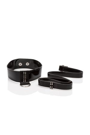 Diamond Leash and Collar Set