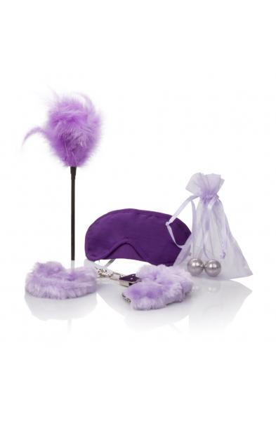 Berman Shades of Purple Playroom Kit