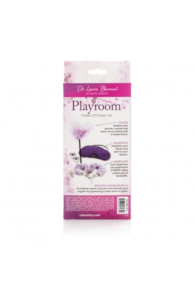 Berman Shades of Purple Playroom Kit