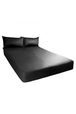 Exxxtreme Sheets - King Size - Black