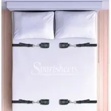 Under the Bed Restraint System
