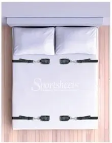 Under the Bed Restraint System