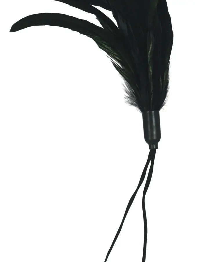 Pleasure Feather - Black