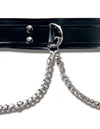 Collar With Nipple Clamps