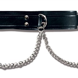 Collar With Nipple Clamps