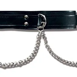 Collar With Nipple Clamps