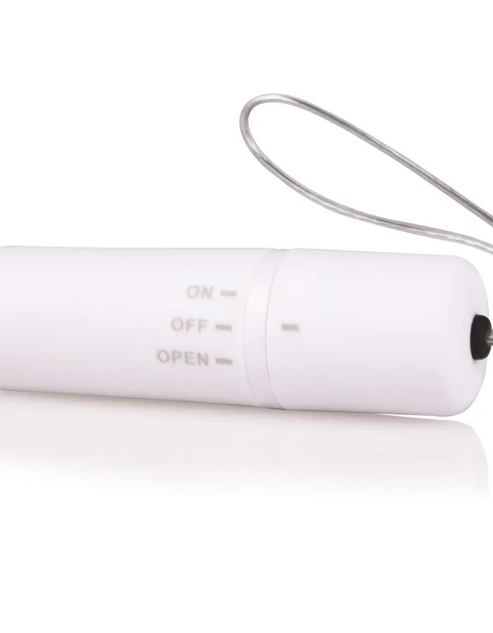 My Secret Screaming O Vibrating Panty Set - White - Each