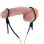 Vigor II Electro Stim Cock and Balls Ties & Frenum Electro Stimulator