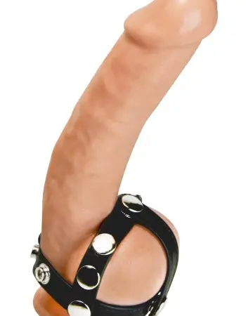 Snap- on Cock & Ball Harness