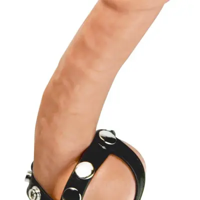 Snap- on Cock & Ball Harness