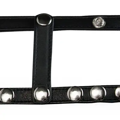 Snap- on Cock & Ball Harness
