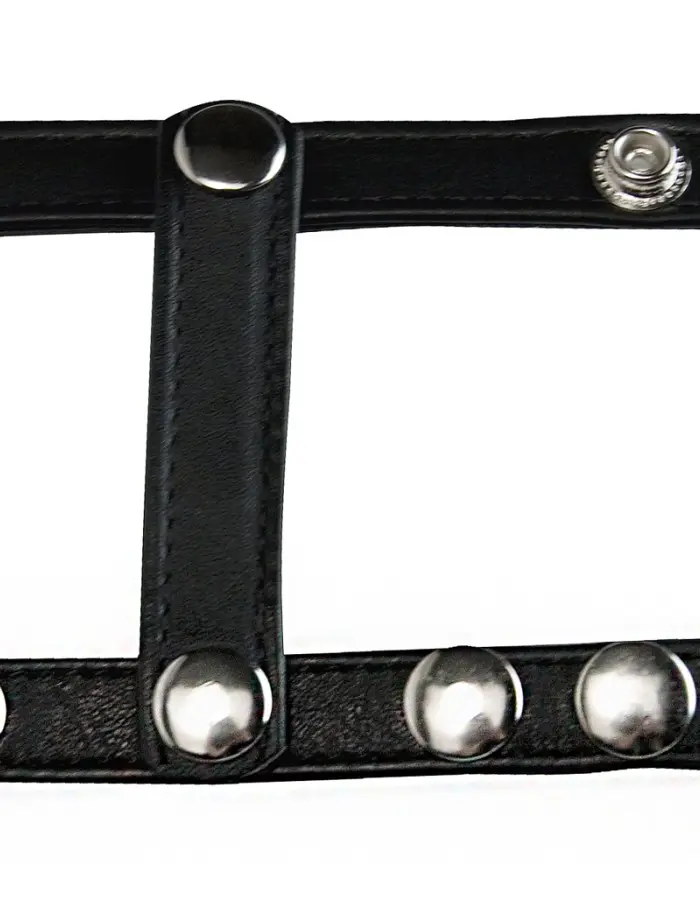 Snap- on Cock & Ball Harness