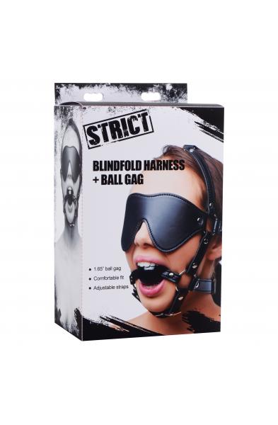 Blindfold Harness + Ball Gag