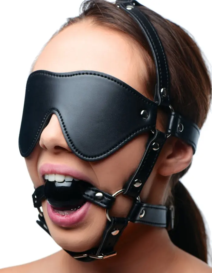 Blindfold Harness + Ball Gag