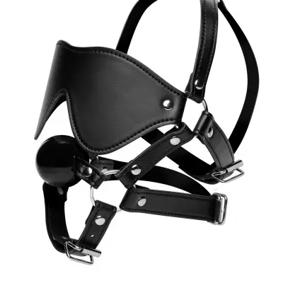 Blindfold Harness + Ball Gag