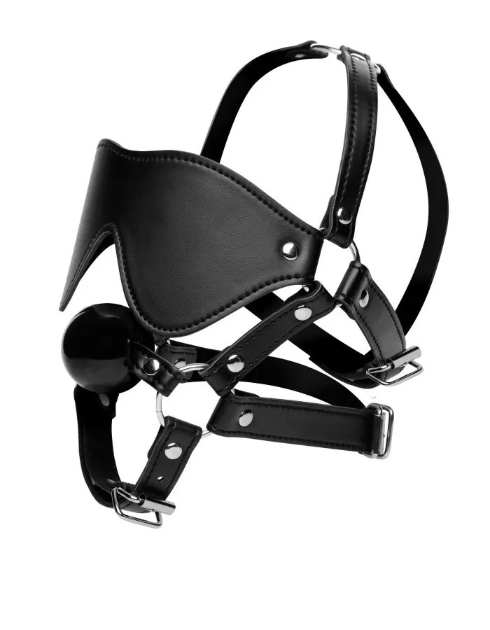 Blindfold Harness + Ball Gag