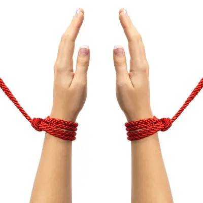 Fifty Shades of Grey Restrain Me Bondage Rope  Twin Pack