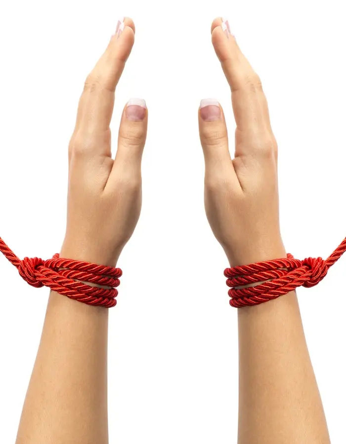 Fifty Shades of Grey Restrain Me Bondage Rope  Twin Pack