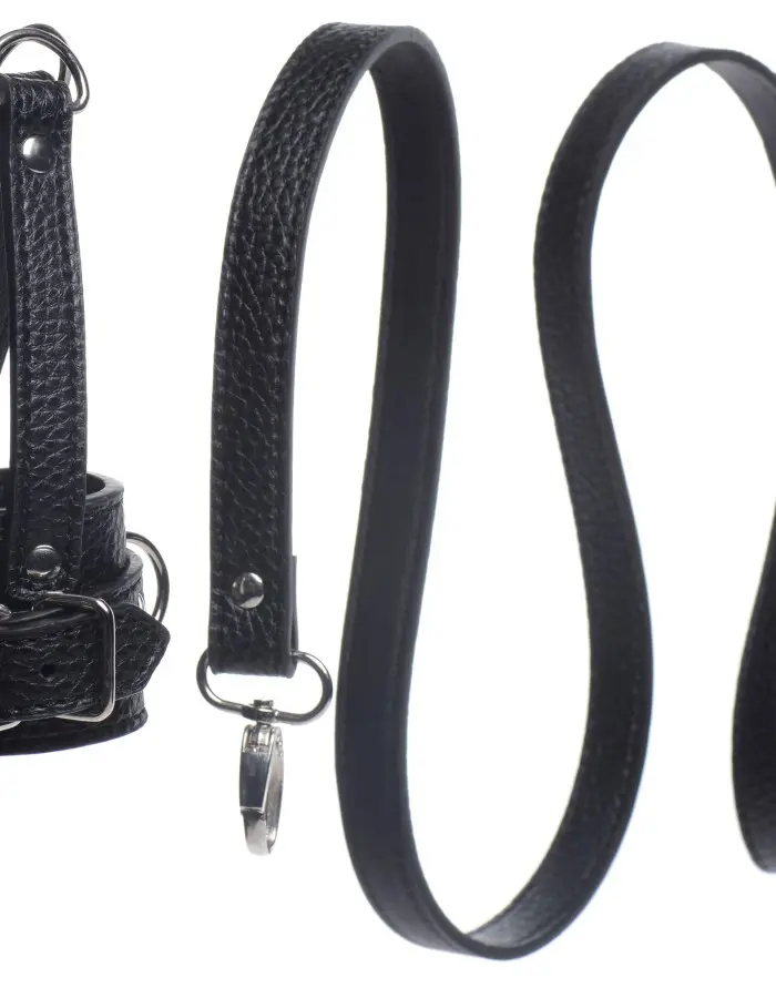 Ball Stretcher With Leash