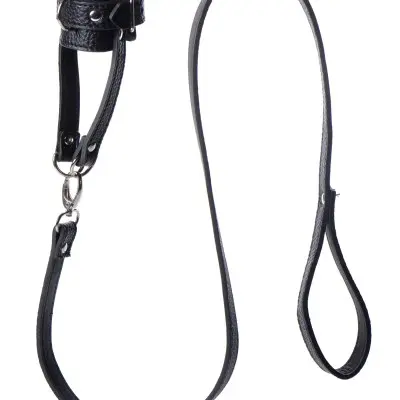 Ball Stretcher With Leash