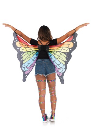 Rainbow Butterfly Festival Costume Wings